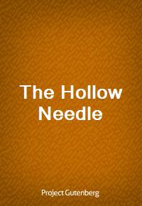 The Hollow Needle (Ŀ̹)