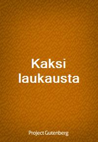 Kaksi laukausta (커버이미지)