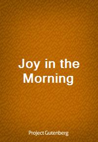 Joy in the Morning (커버이미지)