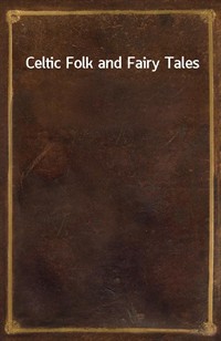 Celtic Folk and Fairy Tales (커버이미지)