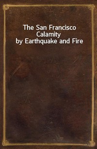 The San Francisco Calamity by Earthquake and Fire (Ŀ̹)