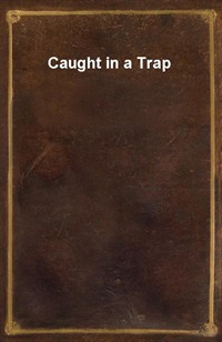 Caught in a Trap (커버이미지)