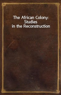 The African Colony: Studies in the Reconstruction (Ŀ̹)