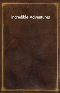 Incredible Adventures (커버이미지)