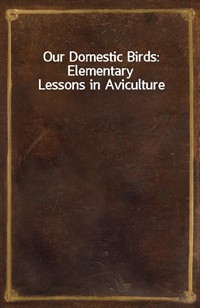 Our Domestic Birds: Elementary Lessons in Aviculture (Ŀ̹)