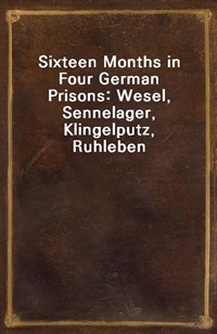 Sixteen Months in Four German Prisons: Wesel, Sennelager, Klingelputz, Ruhleben (Ŀ̹)