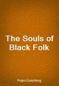 The Souls of Black Folk (Ŀ̹)