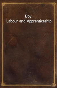 Boy Labour and Apprenticeship (커버이미지)