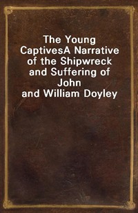 The Young CaptivesA Narrative of the Shipwreck and Suffering of John and William Doyley (Ŀ̹)