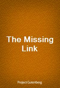 The Missing Link (Ŀ̹)