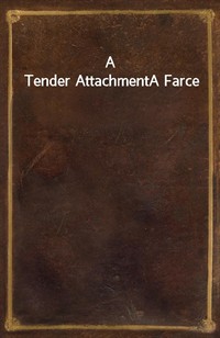 A Tender AttachmentA Farce (커버이미지)