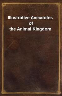 Illustrative Anecdotes of the Animal Kingdom (커버이미지)