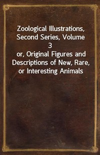 Zoological Illustrations, Second Series, Volume 3or, Original Figures and Descriptions of New, Rare, or Interesting Animals (커버이미지)