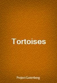 Tortoises (Ŀ̹)