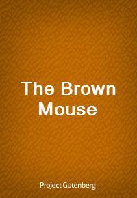 The Brown Mouse (Ŀ̹)