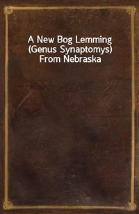 A New Bog Lemming (Genus Synaptomys) From Nebraska (커버이미지)