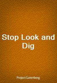 Stop Look and Dig (Ŀ̹)