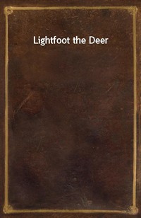 Lightfoot the Deer (Ŀ̹)