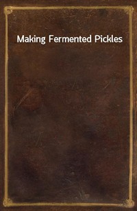 Making Fermented Pickles (Ŀ̹)