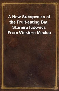 A New Subspecies of the Fruit-eating Bat, Sturnira ludovici, From Western Mexico (커버이미지)