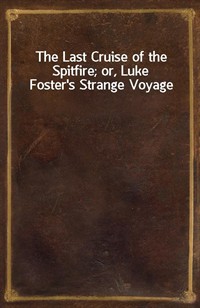 The Last Cruise of the Spitfire; or, Luke Foster's Strange Voyage (Ŀ̹)