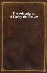 The Adventures of Paddy the Beaver (Ŀ̹)