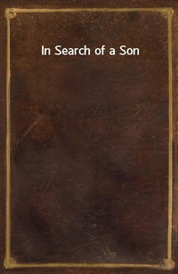 In Search of a Son (커버이미지)