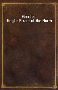 Grenfell: Knight-Errant of the North (커버이미지)