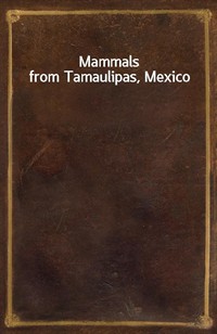 Mammals from Tamaulipas, Mexico (Ŀ̹)