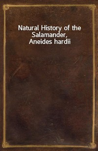 Natural History of the Salamander, Aneides hardii (Ŀ̹)