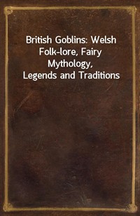 British Goblins: Welsh Folk-lore, Fairy Mythology, Legends and Traditions (커버이미지)