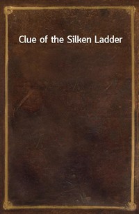 Clue of the Silken Ladder (커버이미지)