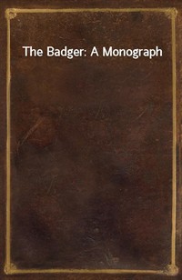 The Badger: A Monograph (Ŀ̹)