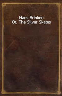 Hans Brinker; Or, The Silver Skates (커버이미지)