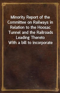 Minority Report of the Committee on Railways in Relation to the Hoosac Tunnel and the Railroads Leading TheretoWith a bill to incorporate the State (Ŀ̹)