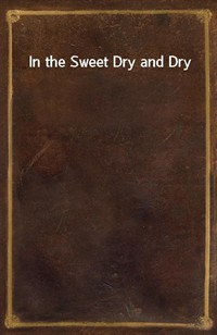 In the Sweet Dry and Dry (커버이미지)