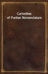 Curiosities of Puritan Nomenclature (커버이미지)