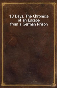 13 Days: The Chronicle of an Escape from a German Prison (커버이미지)