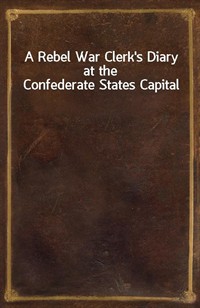 A Rebel War Clerk's Diary at the Confederate States Capital (커버이미지)