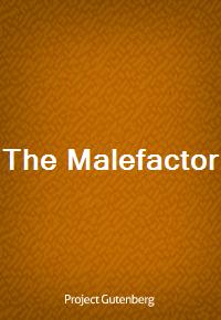 The Malefactor (Ŀ̹)