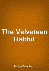 The Velveteen Rabbit (Ŀ̹)