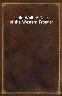 Little Wolf: A Tale of the Western Frontier (Ŀ̹)