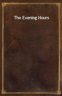 The Evening Hours (커버이미지)