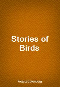 Stories of Birds (Ŀ̹)