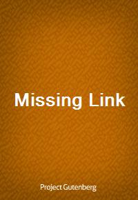 Missing Link (Ŀ̹)