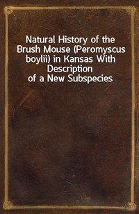 Natural History of the Brush Mouse (Peromyscus boylii) in Kansas With Description of a New Subspecies (Ŀ̹)