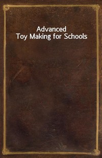 Advanced Toy Making for Schools (커버이미지)