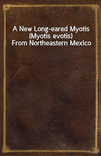 A New Long-eared Myotis (Myotis evotis) From Northeastern Mexico (커버이미지)
