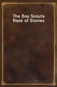 The Boy Scouts Book of Stories (Ŀ̹)