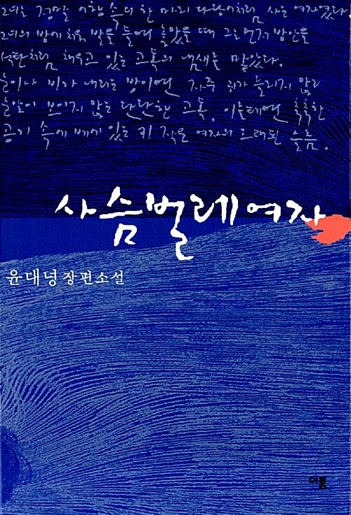 사슴벌레 여자 - 윤대녕 장편소설 (커버이미지)